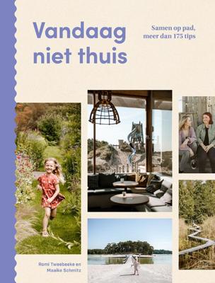 Vandaag niet thuis (Paperback)