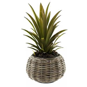 Planten/bloemen mand - Tina - cilinder - rotan - gevlochten riet - D30 x H19 cm - drypot