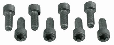 Sachs Schroevenset 1874000031