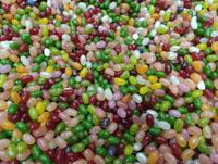 Jelly Belly - Jelly Bean Mix 500 Gram (De échte jelly beans)