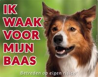 Border Collie Waakbord - Ik waak voor mijn Baas