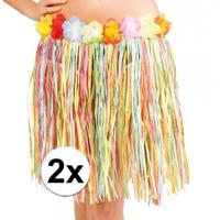 Hawaii rokje - 2x stuks - gekleurd - 45 cm - bloemenrokje - hawaii/tropisch thema - Carnaval verklee