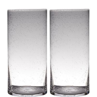 Hakbijl Glas Vaas - Set van 2x stuks - cilinder vorm - transparant - 40 x 19 cm - glas - vazen