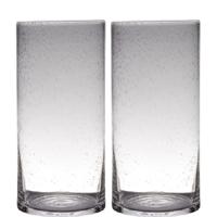 Hakbijl Glas Vaas - Set van 2x stuks - cilinder vorm - transparant - 40 x 19 cm - glas - vazen
