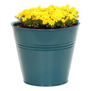 Plantenpot/bloempot Bob - rond - zink - zeegroen - D15 X H13 cm