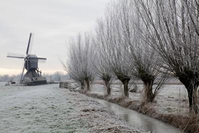 Tuinschilderij knotw winter 130x70 - Customize it