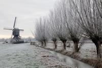 Tuinschilderij knotw winter 130x70 - Customize it