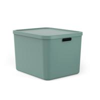 Rotho albula multibox 55l mistletoe groen