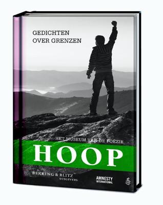 Hoop (Paperback)
