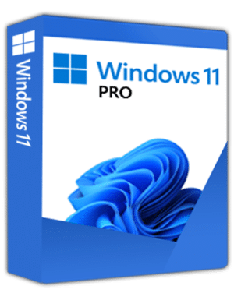 Windows 11 Pro (5pc)