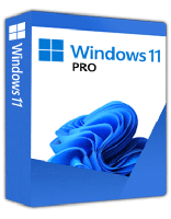 Windows 11 Pro (5pc)