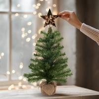 Kerstboom met gepersonaliseerde houten piek ster