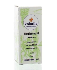 Kruizemunt
