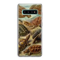 Haeckel Chelonia: Samsung Galaxy S10 Plus Transparant Hoesje