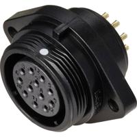 Weipu SP2113 / S 12 Ronde connector Bus, inbouw Totaal aantal polen: 12 Serie (ronde connectoren): SP21 1 stuk(s)