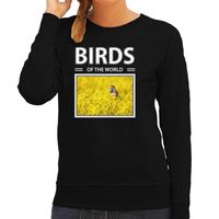Blauwborst vogels sweater / trui met dieren foto birds of the world zwart voor dames