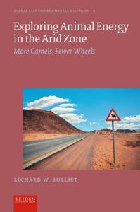 Exploring Animal Energy in the Arid Zone (Paperback)