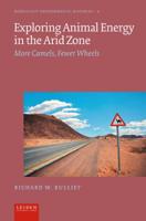 Exploring Animal Energy in the Arid Zone (Paperback)