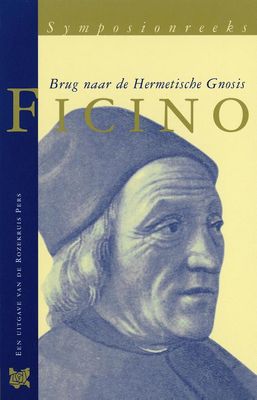 Ficino - P.F.W. Huijs - ebook