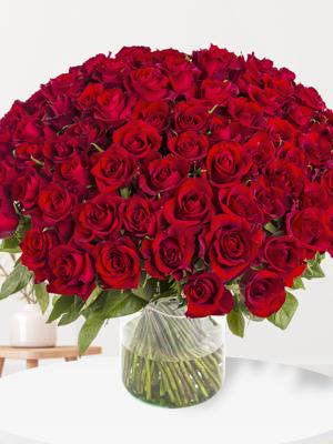 100 rode rozen - EverRed