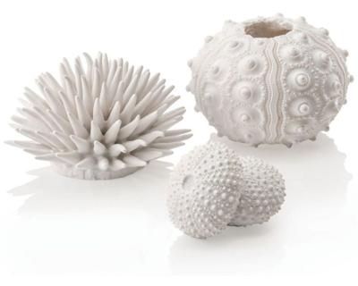 biOrb zee-egel set wit - Oase