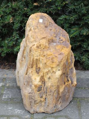 Versteend hout MA-35, 40 cm