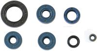 ATHENA Motorshield ds 650, 00-,