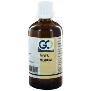 GO Ribes nigrum BIO