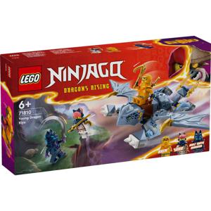 Lego Ninjago 71810 Jonge Draak Riyu