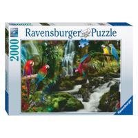 Ravensburger bonte papegaaien in de jungle legpuzzel, 2000st.
