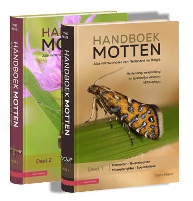 Natuurgids Handboek Motten van Nederland en België | KNNV Uitgeverij