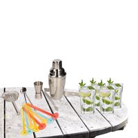 Cocktailshaker set RVS 5-delig inclusief 4x cocktailglazen 410 ml