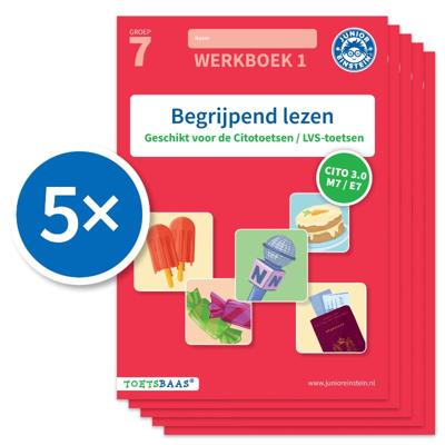 Begrijpend lezen werkboek 1 (Set van 5) (Paperback)