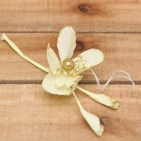 Bonbon doosjes - Chocolade doosje - Kerstanemoon - 24 stuks