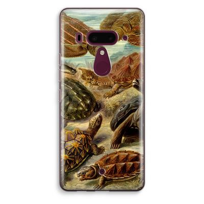 Haeckel Chelonia: HTC U12+ Transparant Hoesje