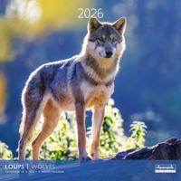 Wolven Kalender 2026
