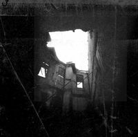 Transient - LP (0616892250845) - thumbnail