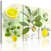 Schilderij - Fruit: lemon, 3 luik, Groen/Geel, 3 maten, Premium print - thumbnail