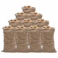 VidaXL Jutezakken 10 stuks 220 g/m² 65x135 cm 100% jute