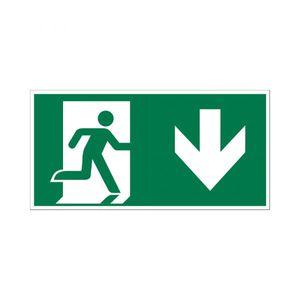 Bord Nooduitgang naar beneden - 150x300 mm.
