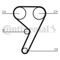 Distributieriemset CONTINENTAL CTAM, u.a. für Ford, Volvo