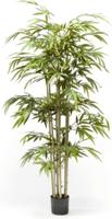 Bamboo x7 150 cm/768 lvs - Emerald