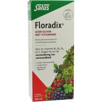 Floradix IJzer