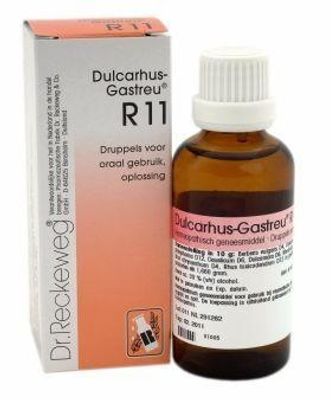 Dulcarhus gastreu R11