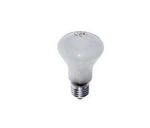 Elinchrom Model Lamp - 100W 196V (voor D-Lite)