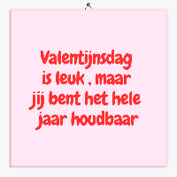 Tekst tegeltje Valentijnsdag is leuk