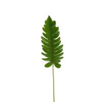 Philodendron blad 100 cm kunsttak Buitengewoon de Boet - Buitengewoon de boet