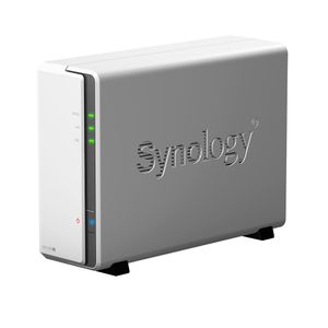 Synology DiskStation DS120j 88F3720 Ethernet LAN Tower Grijs NAS