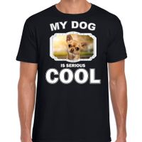 Chihuahua honden t-shirt my dog is serious cool zwart voor heren - thumbnail