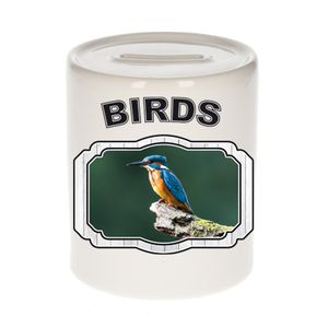 Dieren liefhebber ijsvogel zittend spaarpot - vogels cadeau